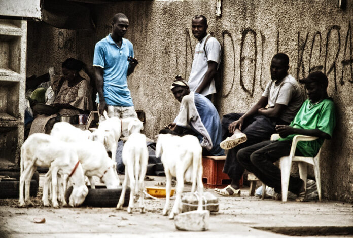 Activités non productives : Les Sénégalais gaspillent 17 heures par jour