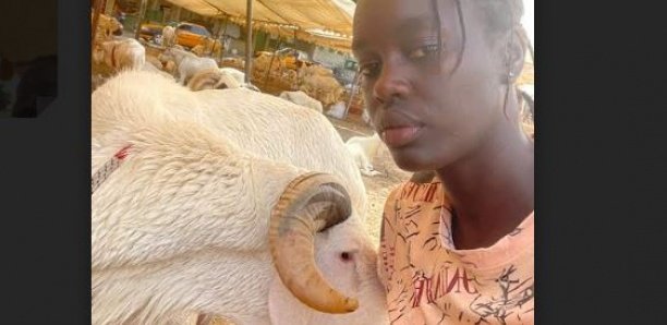 Découverte-Fatou Kiné Kane : Basketteuse de haut niveau et propriétaire d’un cheptel de moutons…