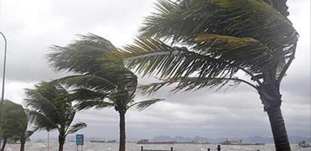 Alerte météo : l’Anacim annonce une houle dangereuse sur les côtes sénégalaises