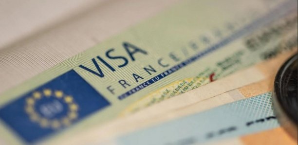 Trafic de visas au Consulat français : deux personnes placées en garde-à-vue