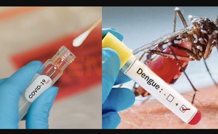 Pikine : 57 cas de dengue recensés, les services d’hygiène à pied d’œuvre
