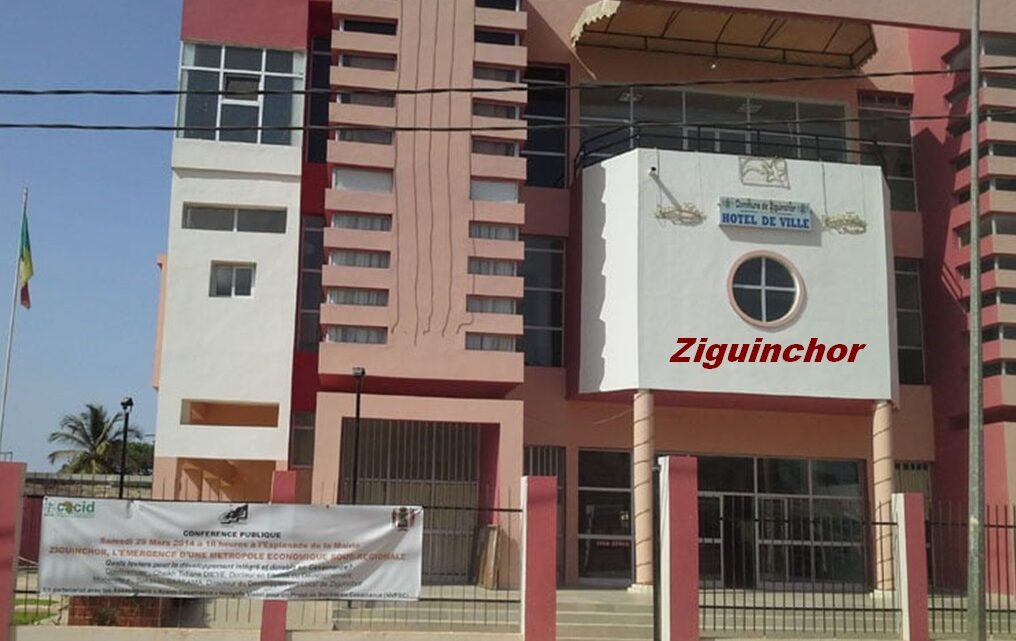 Mairie de Ziguinchor : 4 prétendants pour un poste, la guerre de succession de Sonko fait rage