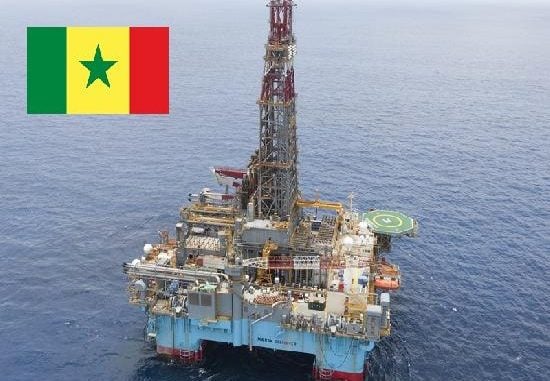 Premiers barils de pétrole : le DG de Petrosen annonce la bonne nouvelle aux sénégalais